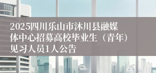 2025四川乐山市沐川县融媒体中心招募高校毕业生（青年）见习人员1人公告