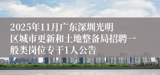 2025年11月广东深圳光明区城市更新和土地整备局招聘一般类岗位专干1人公告