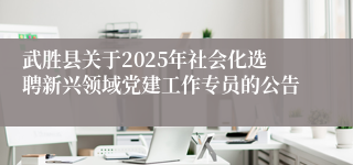 武胜县关于2025年社会化选聘新兴领域党建工作专员的公告
