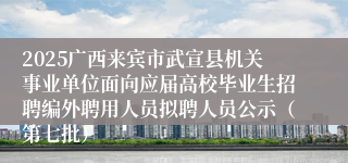 2025广西来宾市武宣县机关事业单位面向应届高校毕业生招聘编外聘用人员拟聘人员公示（第七批）
