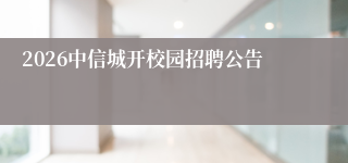 2026中信城开校园招聘公告