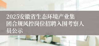 2025安徽省生态环境产业集团合规风控岗位招聘入围考察人员公示