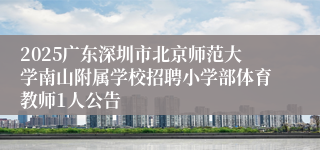 2025广东深圳市北京师范大学南山附属学校招聘小学部体育教师1人公告