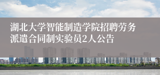 湖北大学智能制造学院招聘劳务派遣合同制实验员2人公告