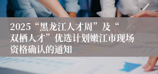 2025“黑龙江人才周”及“双栖人才”优选计划嫩江市现场资格确认的通知