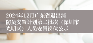 2024年12月广东省退出消防员安置计划第二批次（深圳市光明区）人员安置岗位公示