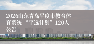 2026山东青岛平度市教育体育系统 “平选计划”120人公告