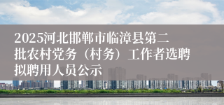 2025河北邯郸市临漳县第二批农村党务(村务)工作者选聘拟聘用人员公示