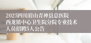 2025四川眉山青神县总医院西龙镇中心卫生院分院专业技术人员招聘5人公告