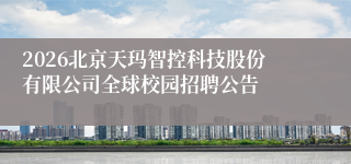2026北京天玛智控科技股份有限公司全球校园招聘公告
