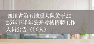 四川省第五地质大队关于2025年下半年公开考核招聘工作人员公告(16人)