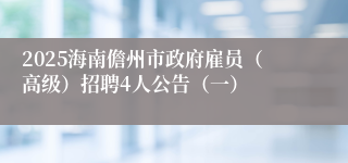 2025海南儋州市政府雇员（高级）招聘4人公告（一）