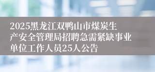2025黑龙江双鸭山市煤炭生产安全管理局招聘急需紧缺事业单位工作人员25人公告