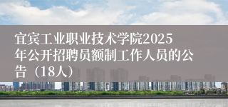 宜宾工业职业技术学院2025年公开招聘员额制工作人员的公告（18人）