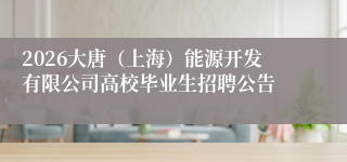 2026大唐(上海)能源开发有限公司高校毕业生招聘公告