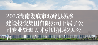 2025湖南娄底市双峰县城乡建设投资集团有限公司下属子公司专业管理人才引进招聘2人公告