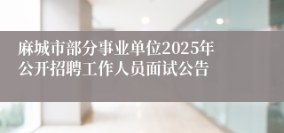 麻城市部分事业单位2025年公开招聘工作人员面试公告