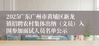 2025广东广州市黄埔区新龙镇招聘农村集体出纳（文员）入围参加面试人员名单公示
