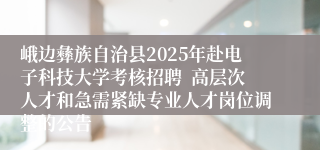 峨边彝族自治县2025年赴电子科技大学考核招聘  高层次人才和急需紧缺专业人才岗位调整的公告