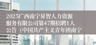 2025广西南宁昇智人力资源服务有限公司第47期招聘1人公告（中国共产主义青年团南宁市青秀区委员会）