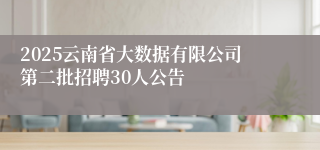 2025云南省大数据有限公司第二批招聘30人公告
