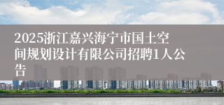 2025浙江嘉兴海宁市国土空间规划设计有限公司招聘1人公告