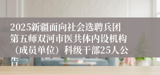 2025新疆面向社会选聘兵团第五师双河市医共体内设机构 （成员单位）科级干部25人公告