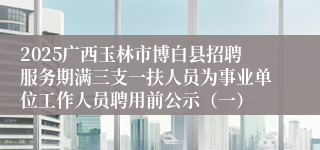 2025广西玉林市博白县招聘服务期满三支一扶人员为事业单位工作人员聘用前公示（一）
