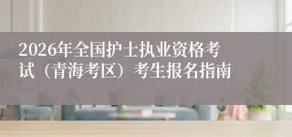 2026年全国护士执业资格考试（青海考区）考生报名指南