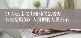 2025云南文山州马关县委办公室招聘编外人员拟聘人员公示
