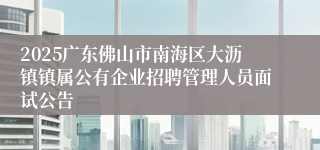 2025广东佛山市南海区大沥镇镇属公有企业招聘管理人员面试公告