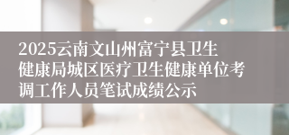 2025云南文山州富宁县卫生健康局城区医疗卫生健康单位考调工作人员笔试成绩公示