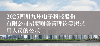 2025四川九州电子科技股份有限公司招聘财务管理岗等拟录用人员的公示