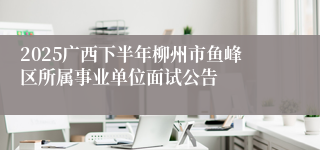 2025广西下半年柳州市鱼峰区所属事业单位面试公告