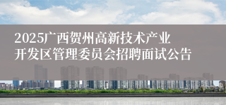 2025广西贺州高新技术产业开发区管理委员会招聘面试公告