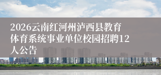 2026云南红河州泸西县教育体育系统事业单位校园招聘12人公告