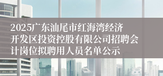 2025广东汕尾市红海湾经济开发区投资控股有限公司招聘会计岗位拟聘用人员名单公示