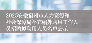 2025安徽宿州市人力资源和社会保障局补充编外聘用工作人员招聘拟聘用人员名单公示