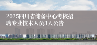 2025四川省储备中心考核招聘专业技术人员3人公告