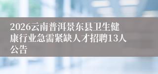 2026云南普洱景东县卫生健康行业急需紧缺人才招聘13人公告