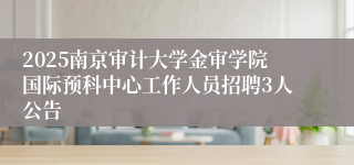 2025南京审计大学金审学院国际预科中心工作人员招聘3人公告