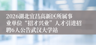 2026湖北宜昌高新区所属事业单位“招才兴业”人才引进招聘6人公告武汉大学站