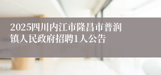 2025四川内江市隆昌市普润镇人民政府招聘1人公告