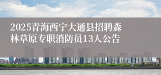 2025青海西宁大通县招聘森林草原专职消防员13人公告