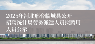 2025年河北邢台临城县公开招聘统计局劳务派遣人员拟聘用人员公示
