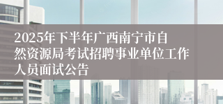 2025年下半年广西南宁市自然资源局考试招聘事业单位工作人员面试公告