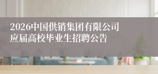 2026中国供销集团有限公司应届高校毕业生招聘公告