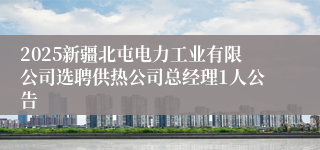 2025新疆北屯电力工业有限公司选聘供热公司总经理1人公告