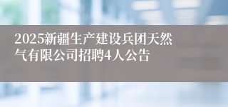 2025新疆生产建设兵团天然气有限公司招聘4人公告
