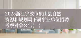 2025浙江宁波市象山县自然资源和规划局下属事业单位招聘考察对象公告(一)